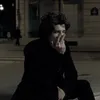zev_amv1