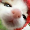 ilovelicky_