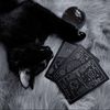 _mishelka_05