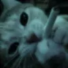 o.kkkkl