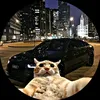 MIAUW