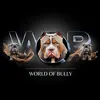 world_of_bully