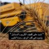 al_abedstore