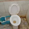chiniwalaa