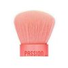 Passion way