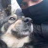 marius_mruvlog