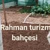 aysel.ahin3
