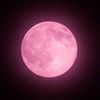 7ilili_loly