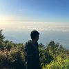 adt_mln