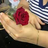 hayat.bdr