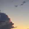 tsubuyakioral