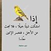 user967772279207wwwtikto