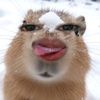 rzmaf_