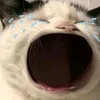 yeumoianhthoiii30
