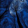 supernatural_172616