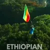 melatayele658