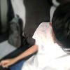 carrot_764