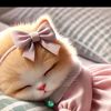 buyik_134