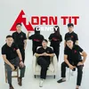 toantit.98