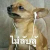 ippo_rr