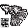 Centralguppies