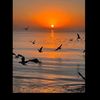 omkhalid554
