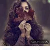 nawrozsalih43
