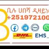 biluhabesha1