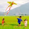 nguyenthihoe27