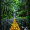 mickhael288