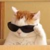mem_from_cat