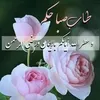 user2542229971776