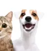 lunethelegend