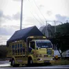 truckline.id