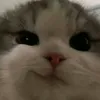 htraa6
