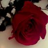 sevgim_97