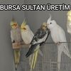 userzzau05f34w