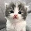 maria___4567