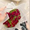 ghida_zahmoul.9