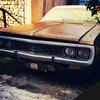 jimo.544