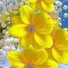 gwly_zard3