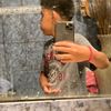 el_sebasloera24