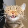 simonxd50