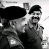 _taim_2008_