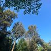 barbararamos482