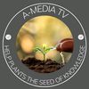 amediatv1