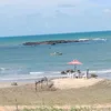 jacksonbrito9079