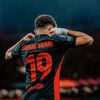 lino_sp15