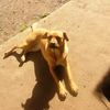 chilindrina614