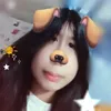 v.ie1511